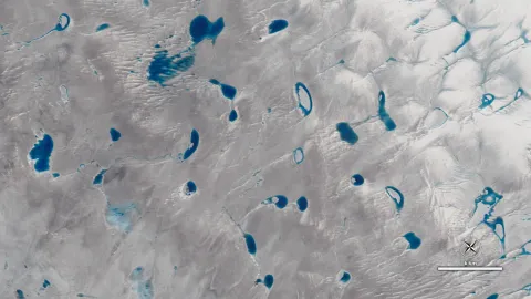 A view of Greenland's ice sheet from the NASA/USGS Landsat 8 satellite showing meltwater lakes on a glacier. (Credit: NASA)