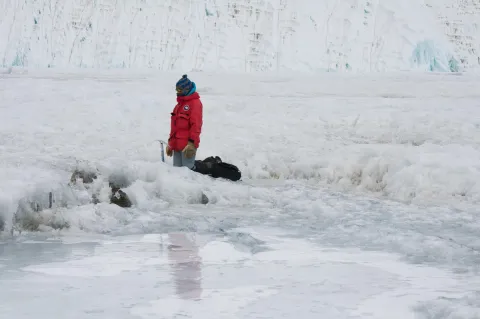 Frances Rivera-Hernández taking field samples in Antarctica in 2015 (Photo Frances Rivera-Hernandez)