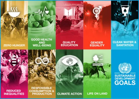 UN SDGs