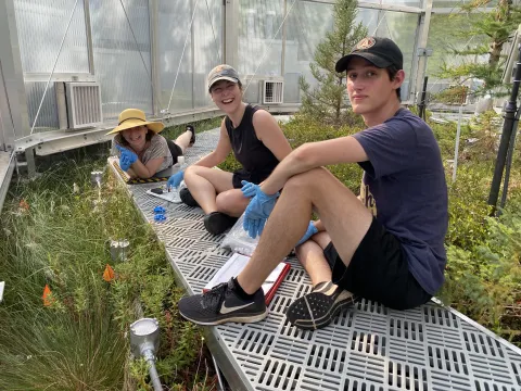 Postdoctoral Researcher Caitlin Petro, PhD student Katherine Duchesneau, and undergraduate student Sekou Noble-Kuchera in a SPRUCE chamber.