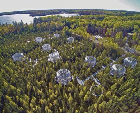 An arial photo of the SPRUCE experiment.