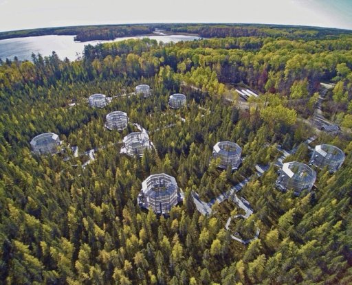 An arial photo of the SPRUCE experiment.