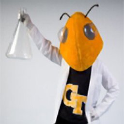 Default image for a profile picture